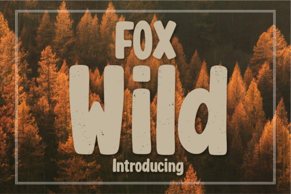 Fox Wild: A Playful Display Typeface for Modern Editorial Design