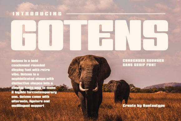 Gotens: The Bold Display Typeface for Modern Editorial Design