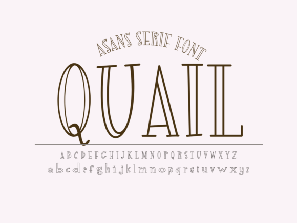 Quail: A Playful Display Font for Modern Editorial Design